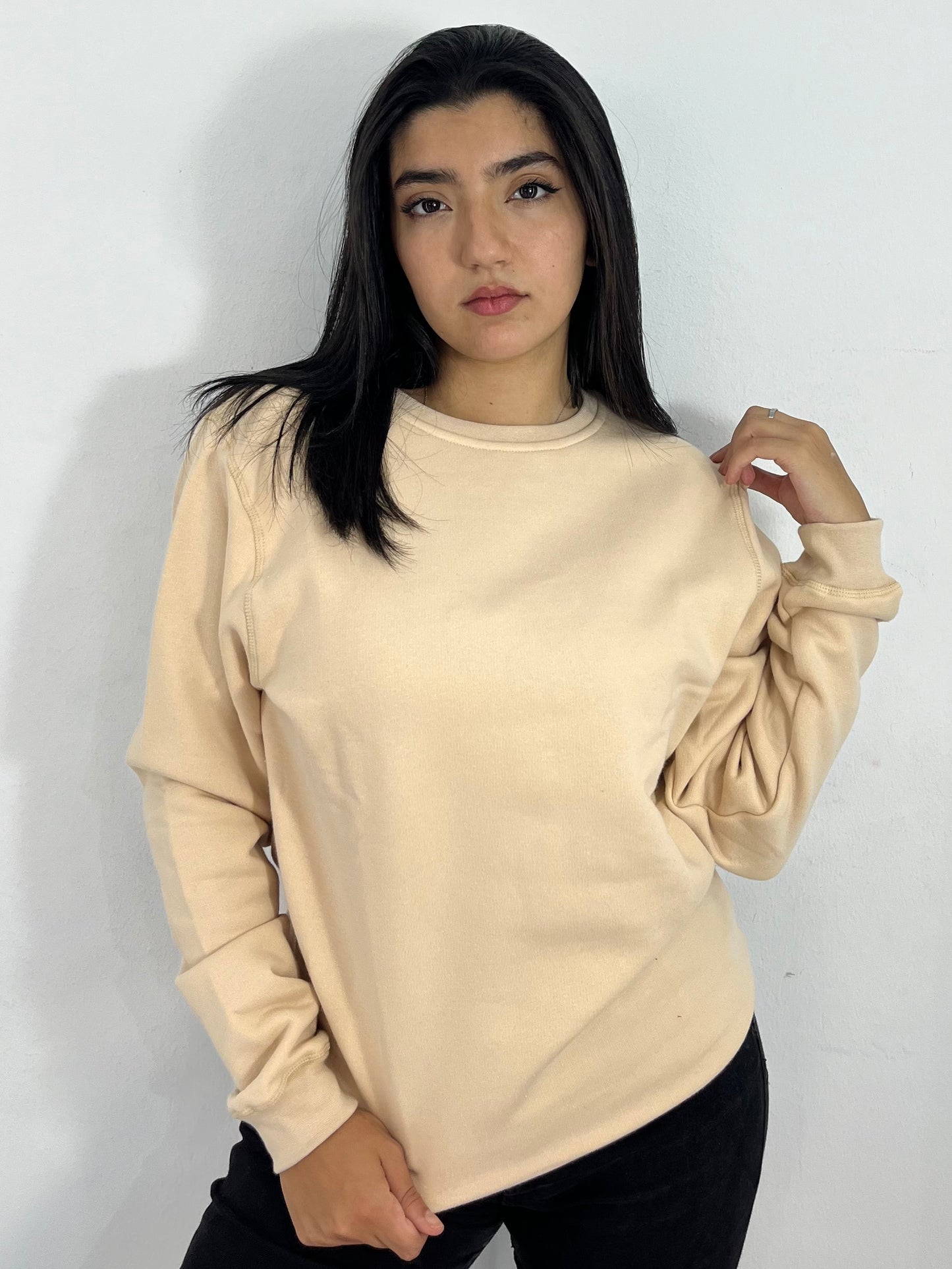 SWEATSHIRT REGULAR (BEIGE)