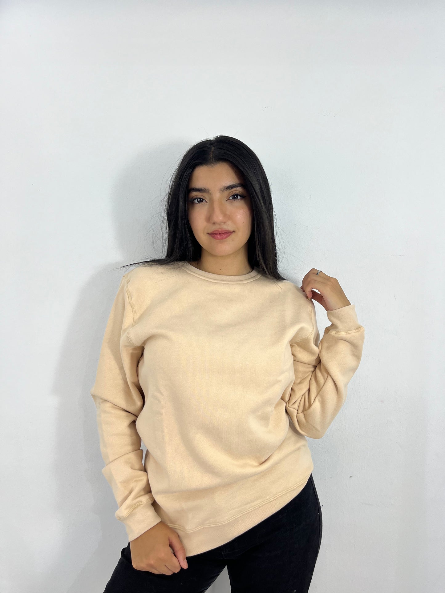 SWEATSHIRT REGULAR (BEIGE)