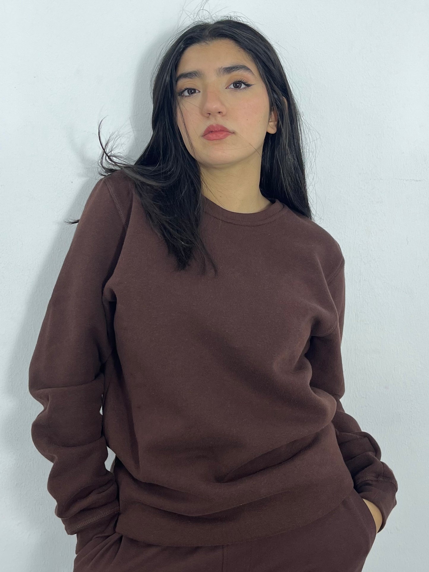 SWEATSHIRT REGULAR (MARRON)