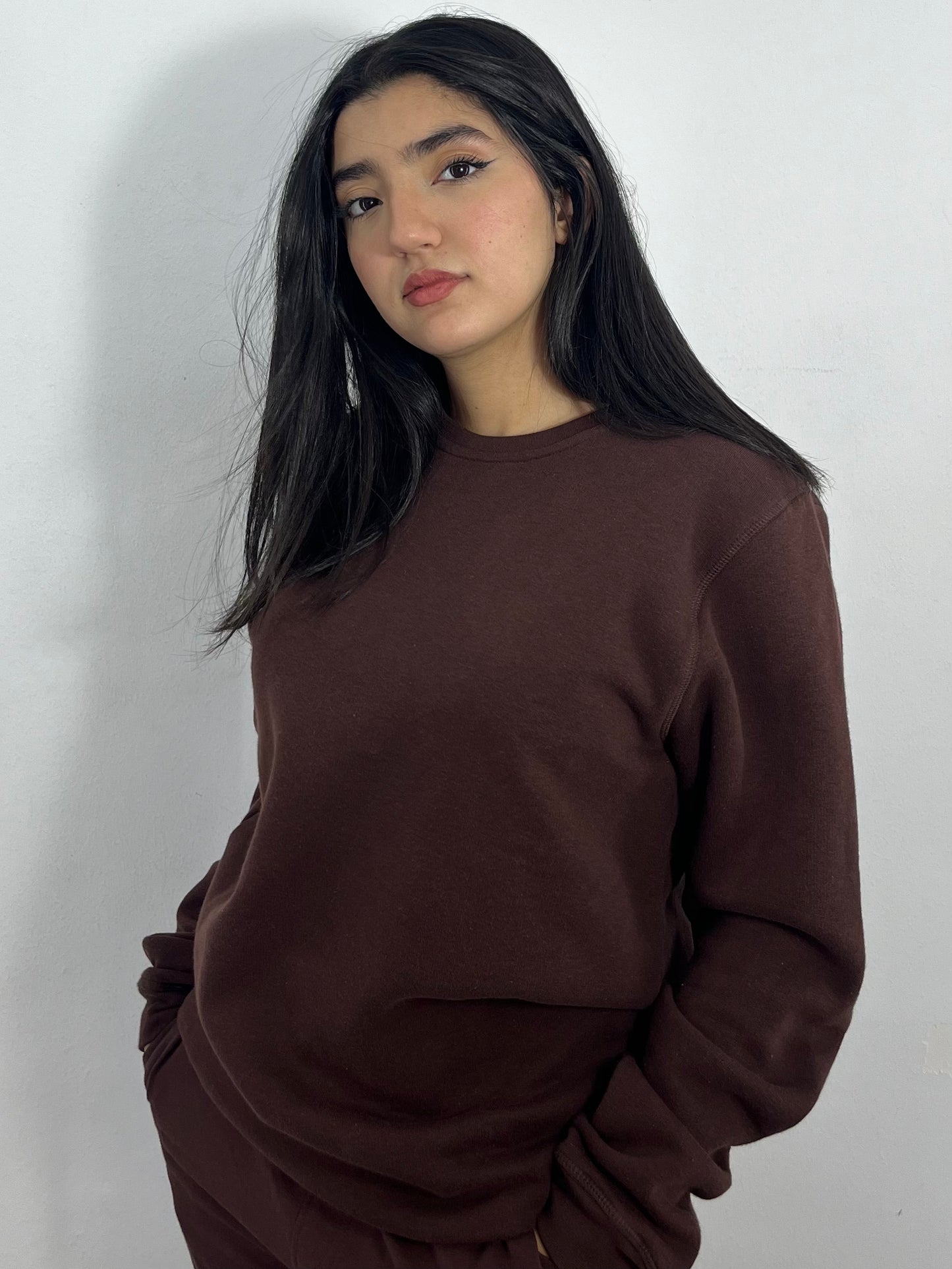 SWEATSHIRT REGULAR (MARRON)