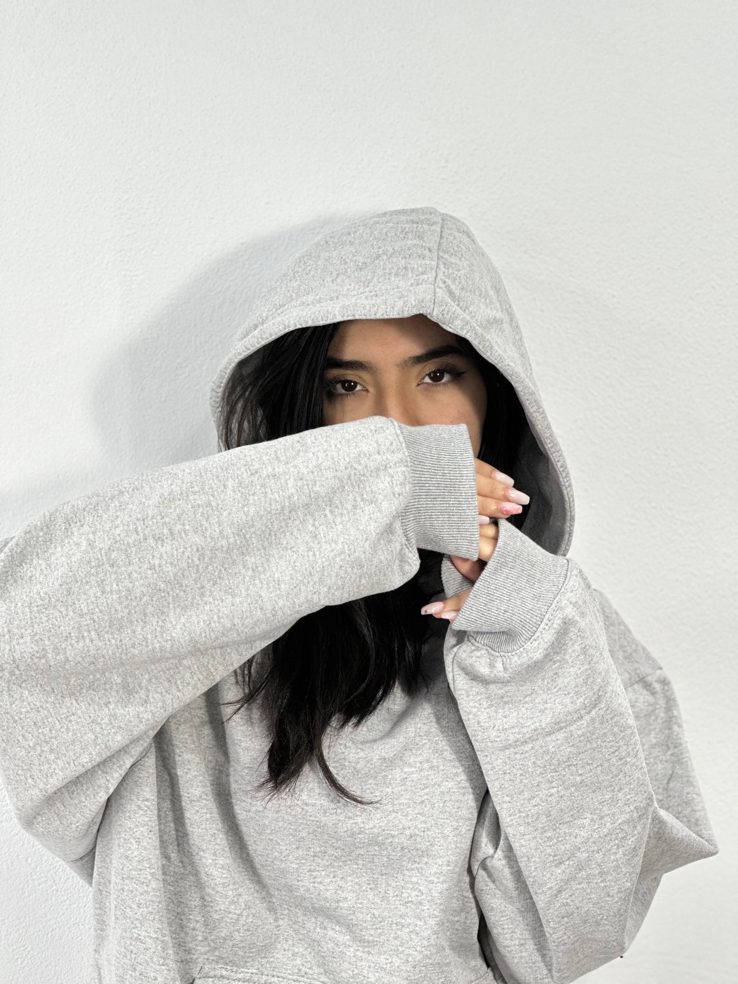 HOODIE OVERSIZED (GRIS)